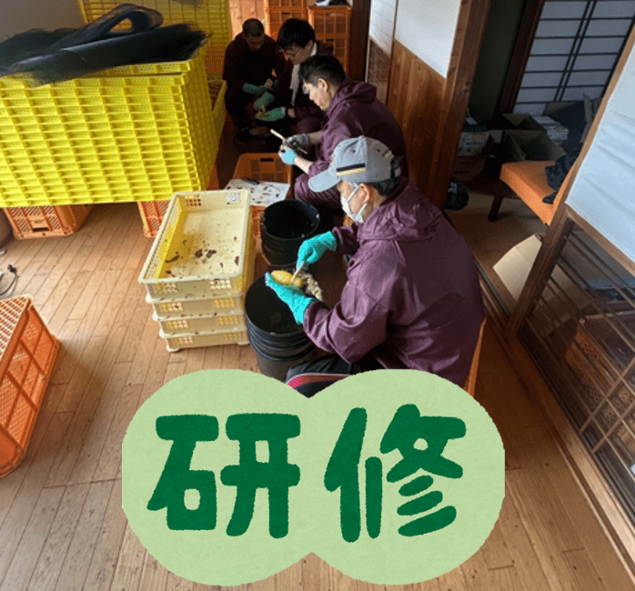 芋プロジェクト】茨城県での干し芋作り研修 パート1 - 株式会社 